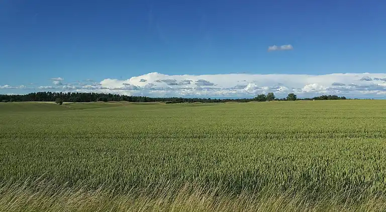 Sommerhus i Kristianstad Ö