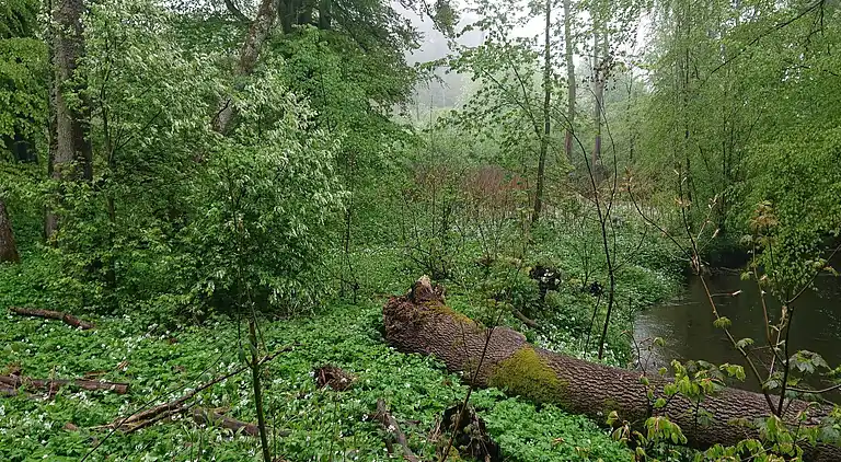 Sommerhus i Kristianstad Ö
