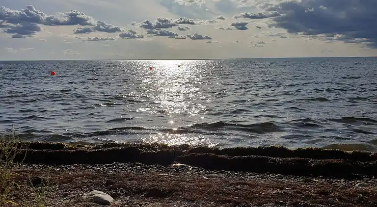 Sommerhus i Mörbylånga N