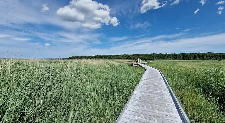Sommerhus i Mörbylånga N