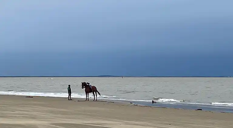 Mobilhome BA234 - 3 bedrooms Siblu Bonne Anse La Palmyre