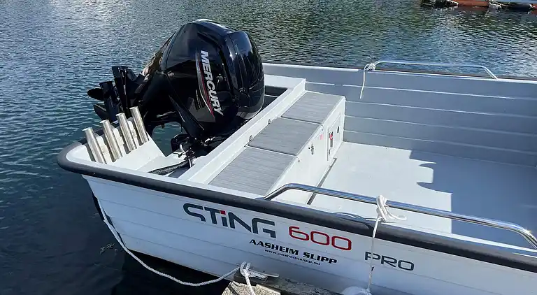 Sommerhus i Koløyhamn