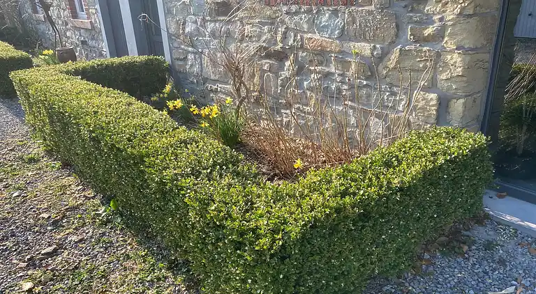 Sommerhus i Robertville