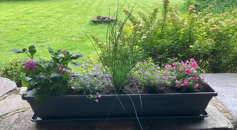 Sommerhus i Robertville