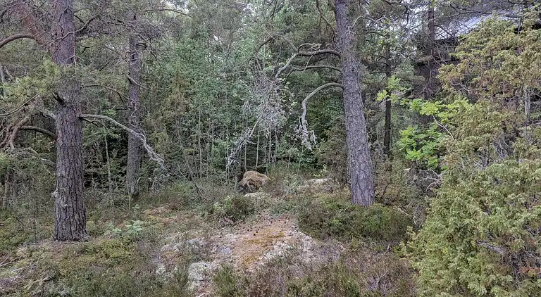 Sommerhus i Värmdö NO