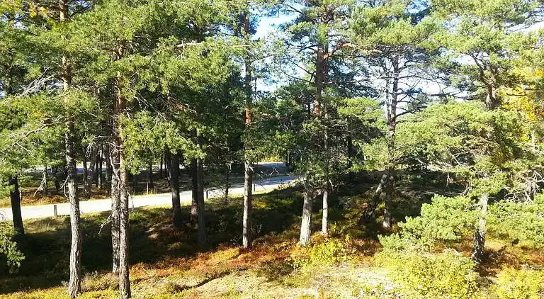 Sommerhus i Värmdö NO