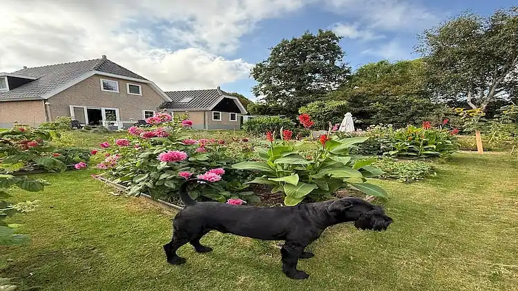 Villa in Groet