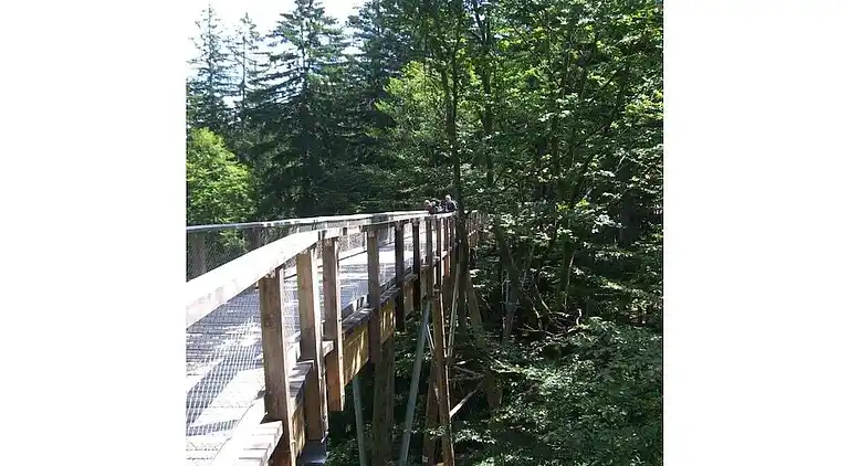 Ferienhaus in Rabenstein