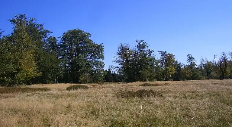 Ferienhaus in Rabenstein
