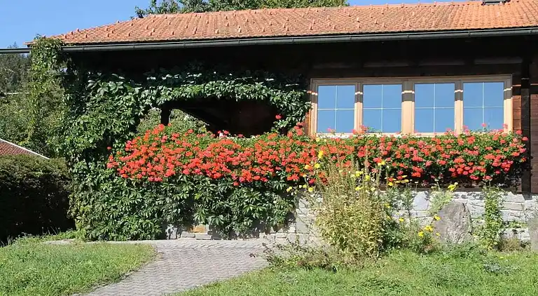 Ferienhaus in Rabenstein