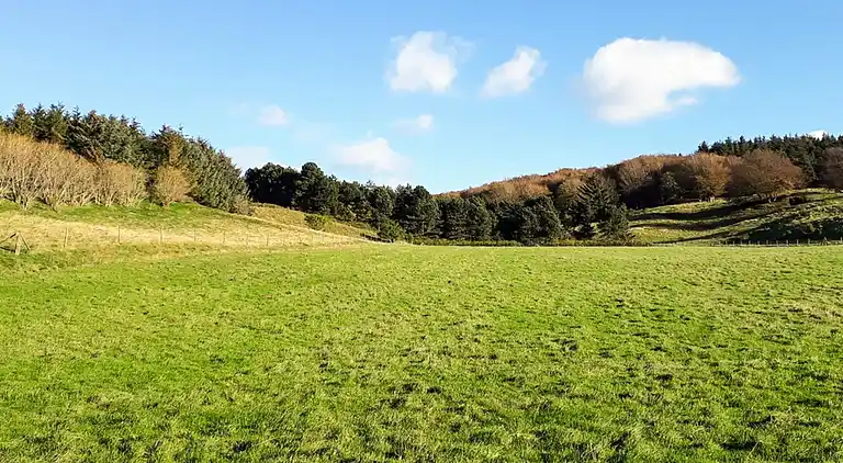 Sommerhus ved Bønnerup Strand