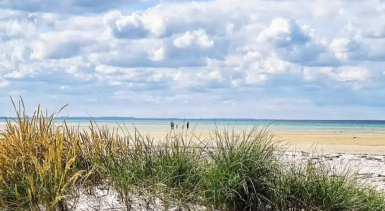 Sommerhus ved Bønnerup Strand