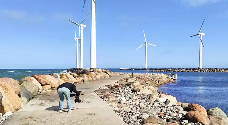 Sommerhus ved Bønnerup Strand