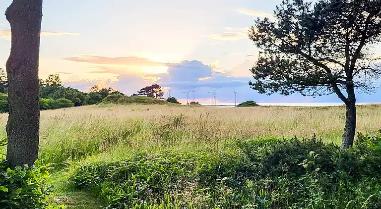 Sommerhus ved Bønnerup Strand