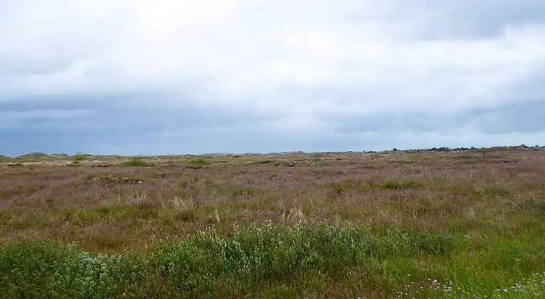 Sommerhus ved Nordstrand