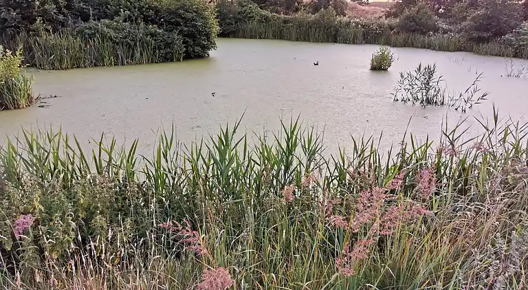 Sommerhus ved Nordstrand
