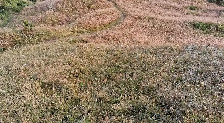 Sommerhus ved Nordstrand