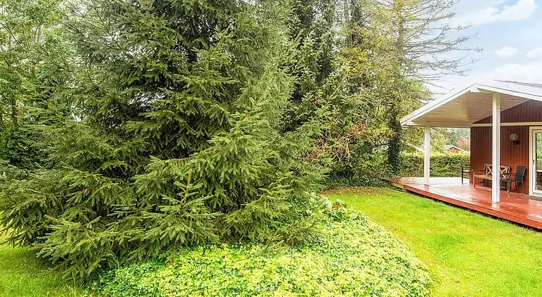 Sommerhus i Fårvang