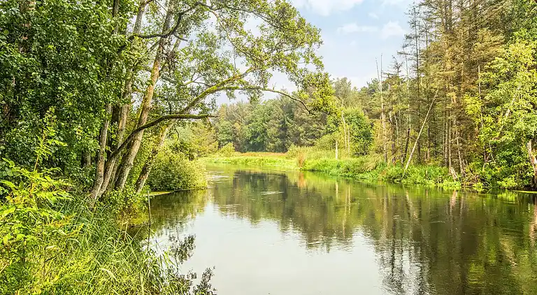 Sommerhus i Fårvang
