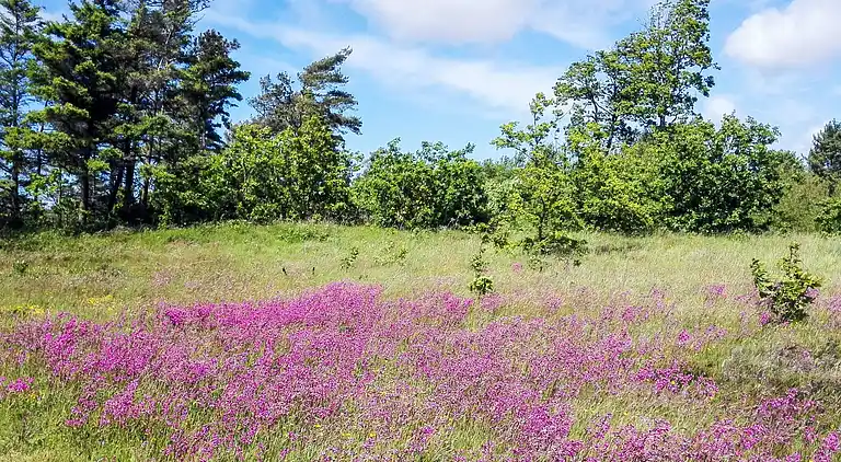 Holiday home in Fjerritslev