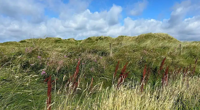 Maison de vacances au Vejers Strand