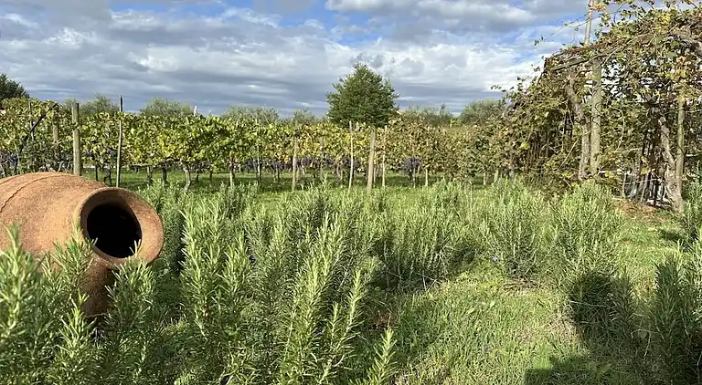 Ferienhaus in Abbadia