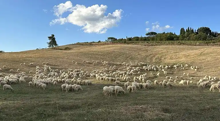 Ferienhaus in Abbadia