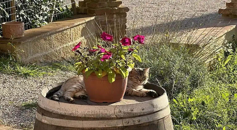 Ferienhaus in Abbadia