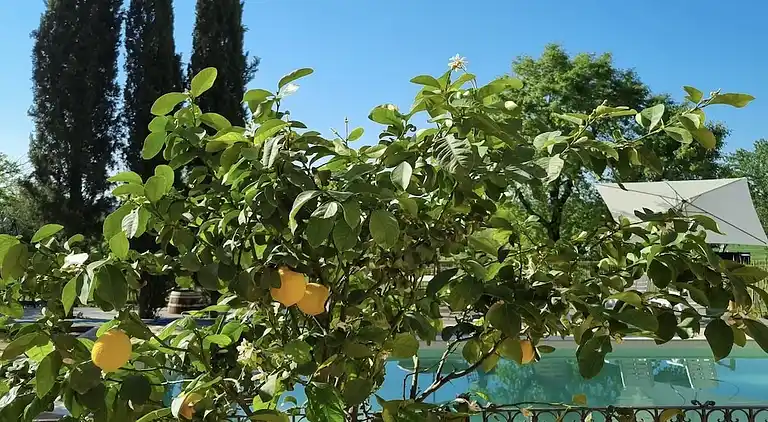 Ferienhaus in Abbadia