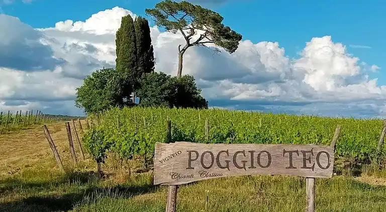 Ferienhaus in Villa Parigini