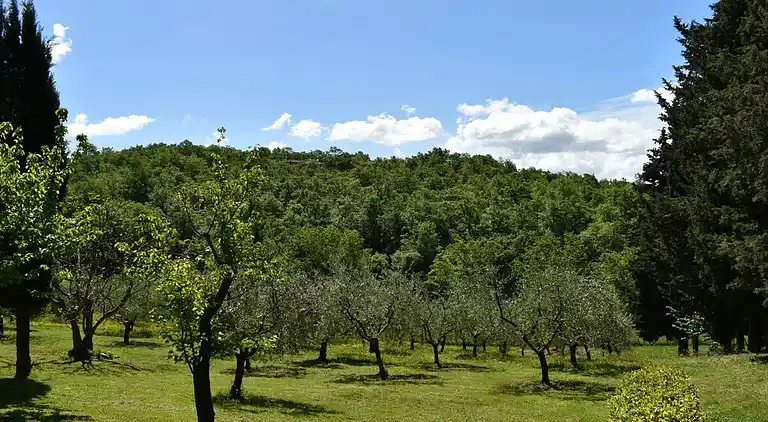 Ferienhaus in Villa Parigini