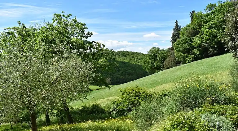Ferienhaus in Villa Parigini