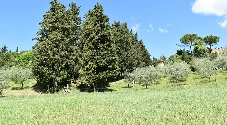 Ferienhaus in Villa Parigini