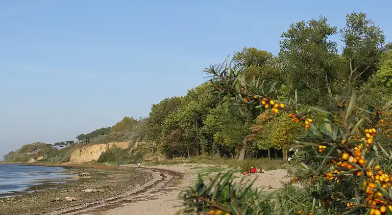 Holiday home in Kücknitz