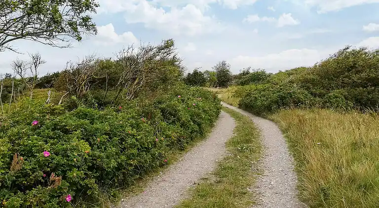 Holiday home in Trend