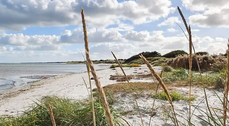 Sommerhus i Øster Hurup