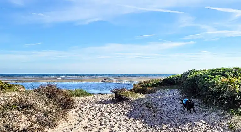 Sommerhus i Øster Hurup