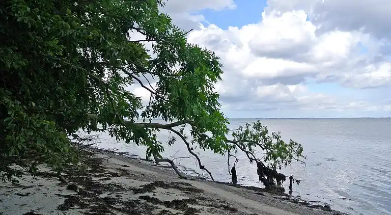 Sommerhus ved Hejlsminde Strand