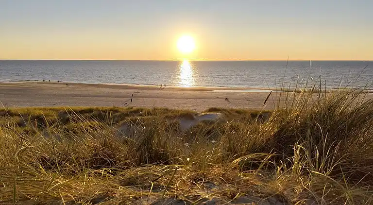 Sommerhus i Bjerregård