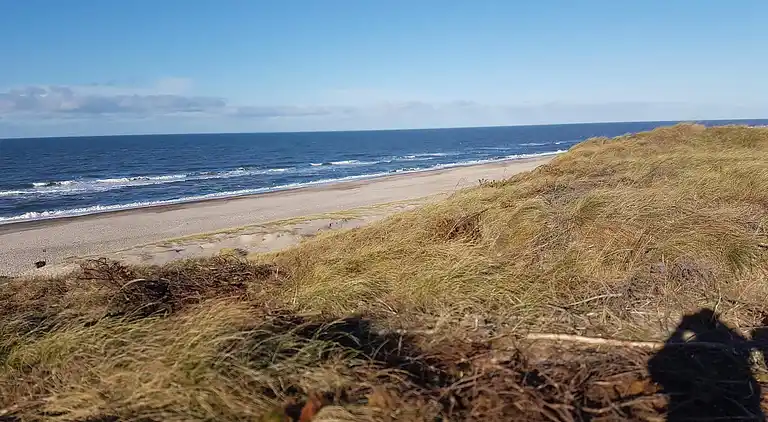 Sommerhus i Bjerregård