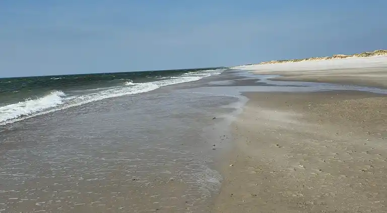 Sommerhus i Blåvand