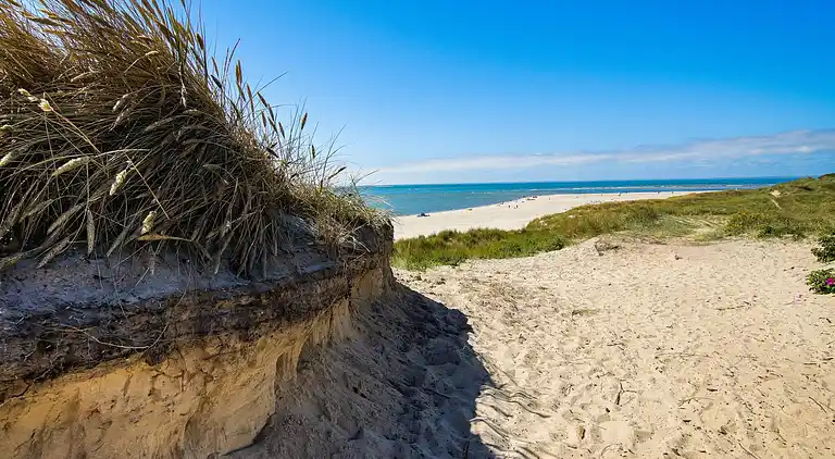 Sommerhus i Blåvand