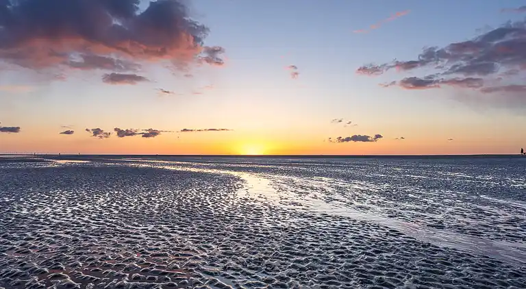Sommerhus i Blåvand