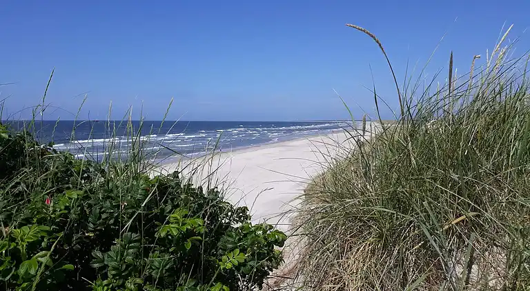 Sommerhus i Blåvand