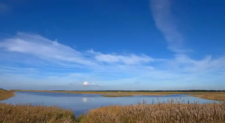 Sommerhus i Blåvand