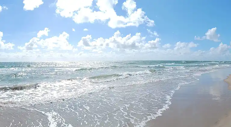 Sommerhus i Blåvand