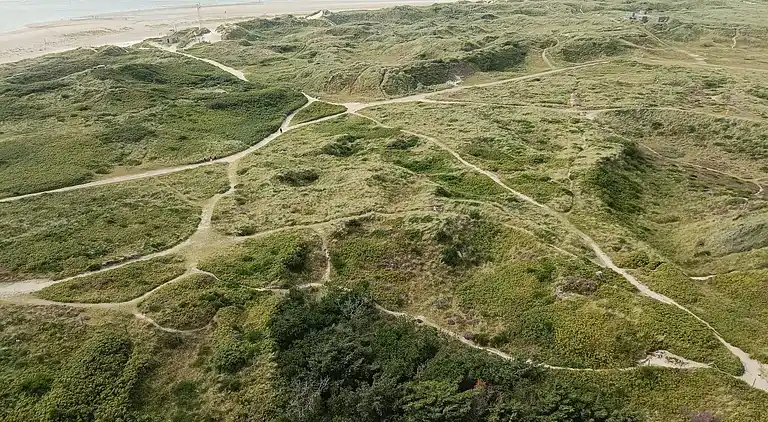 Sommerhus i Blåvand