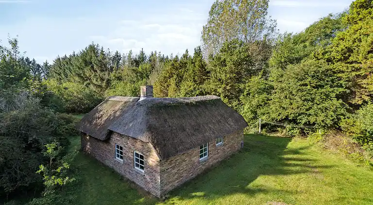Charmantes Reetdachhaus nahe der Nordsee