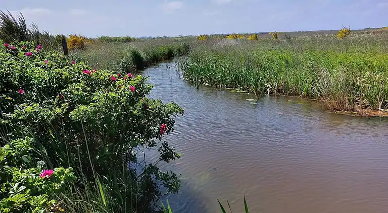 Holiday home in Hemmet