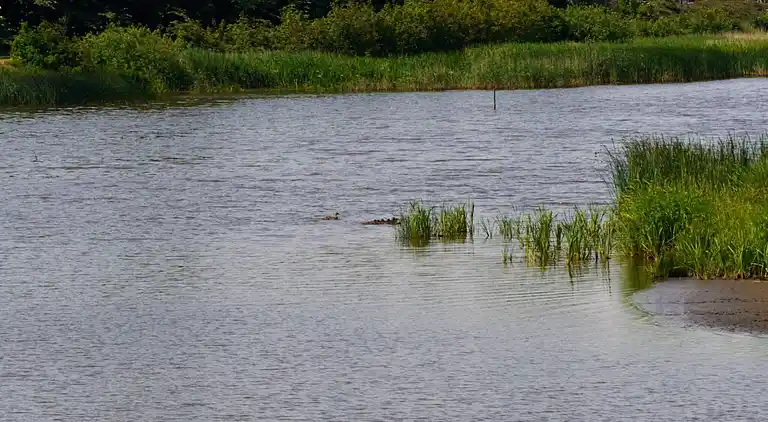 Holiday home in Hemmet